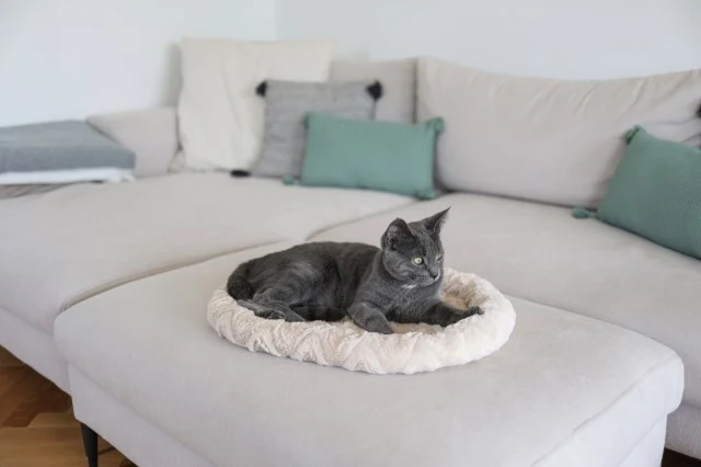 Kuschelbett - für Hunde und Katzen