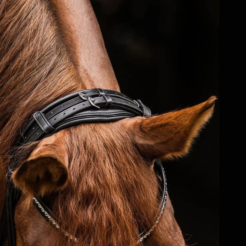 Briglia Waldhausen S-Line Magic con frontalino cristalli - Nero
