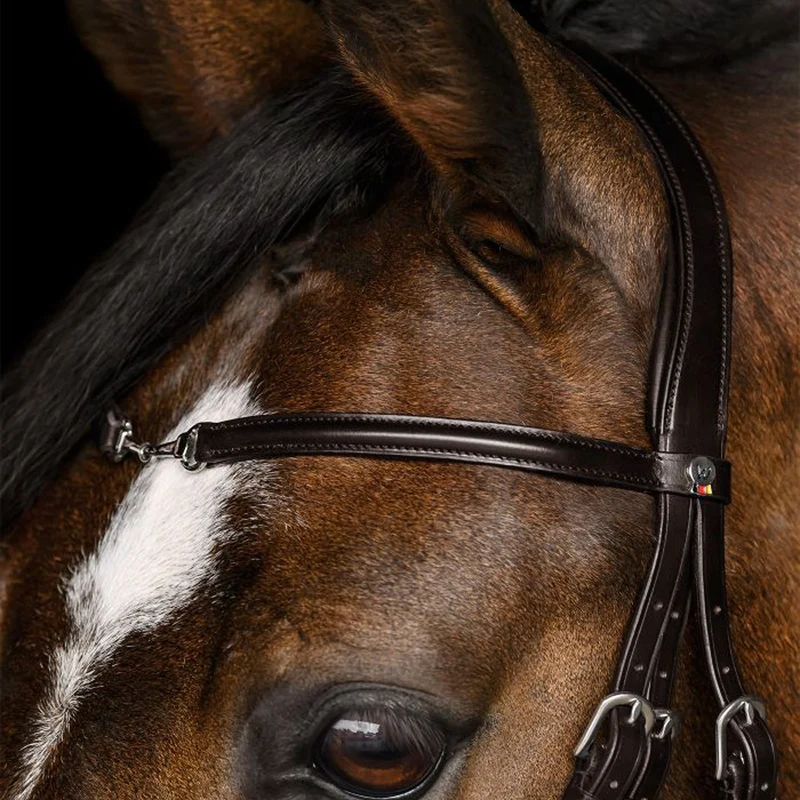 Briglia Waldhausen X-Line Charmbit con capezzina anatomica