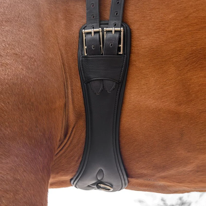 Sottopancia Corto in Cuoio Comfort per Cavalli
