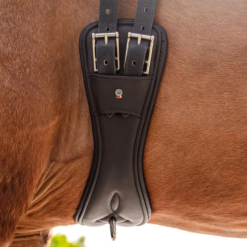Sottopancia Corto in Cuoio Comfort per Cavalli