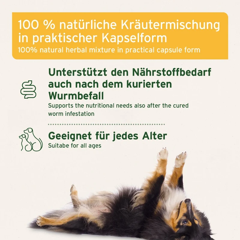WermiX Kapseln für Hunde