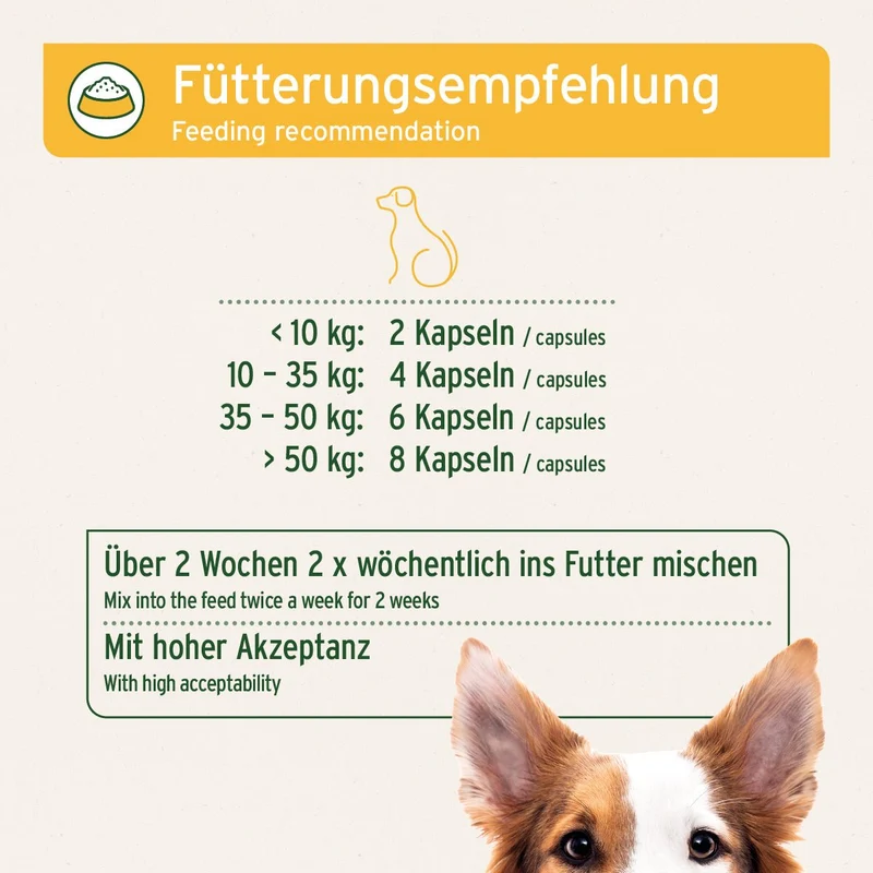 WermiX Kapseln für Hunde