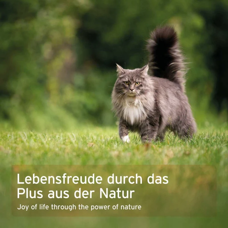 WermiX für Katzen