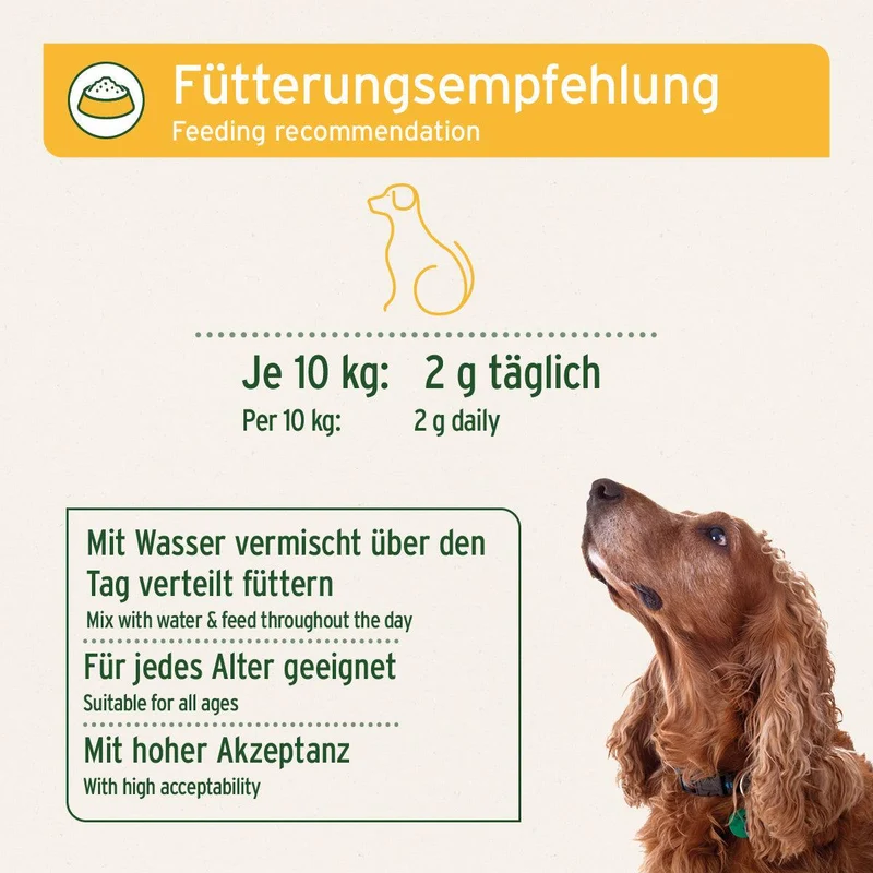 MagenSanft