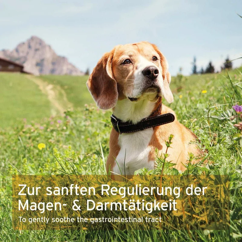 MagenSanft
