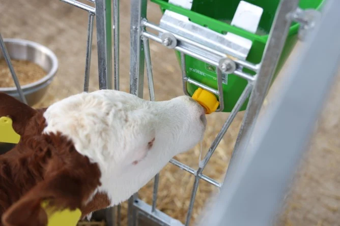 Tränkeeimer mit Hygieneventil 8 Liter