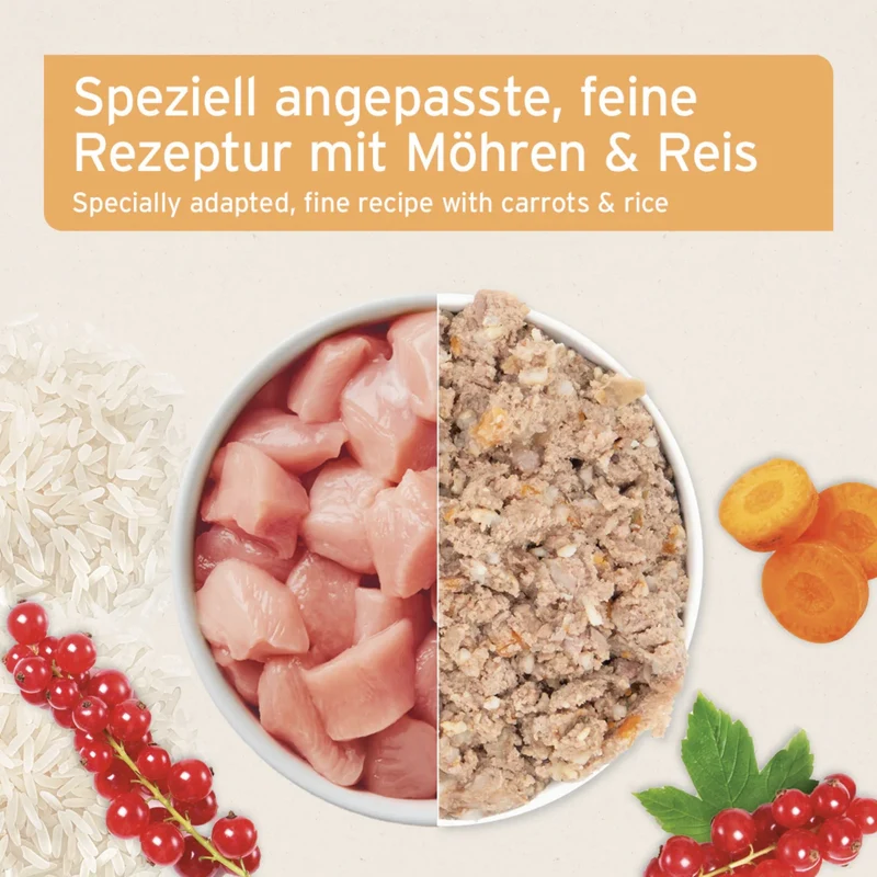 AniForte Pure Nature Senior Menu Chicken – Premium-Nassfutter für ältere Hunde mit zartem Hühnchen und natürlichen Zutaten