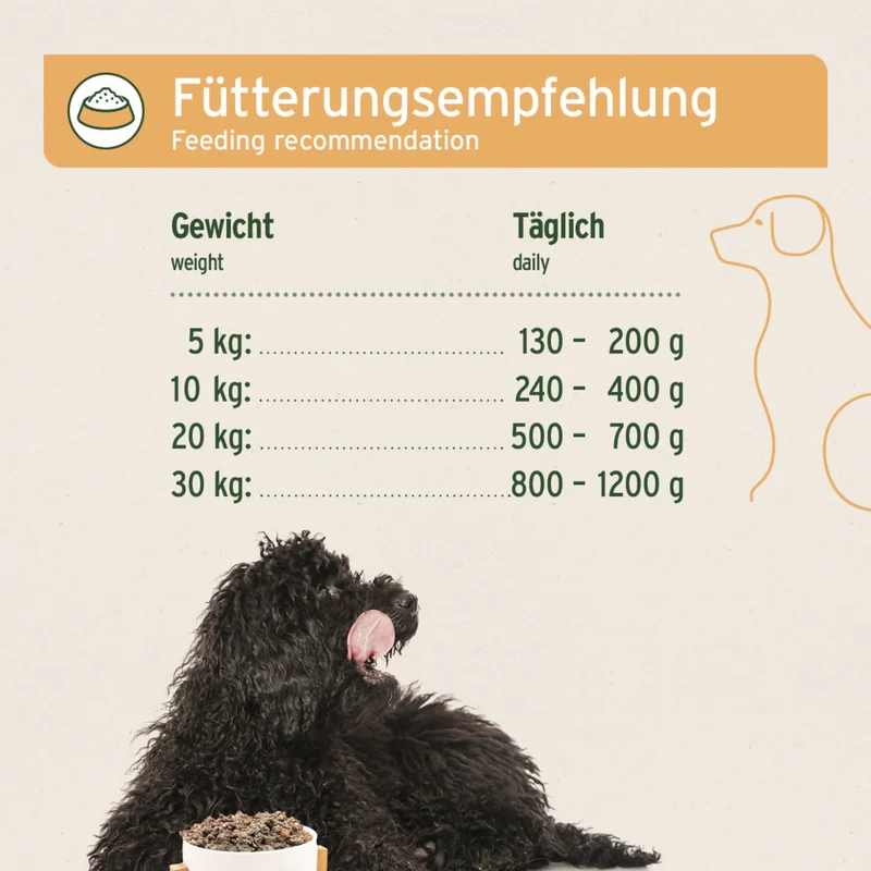AniForte Pure Nature Senior Menu Chicken – Premium-Nassfutter für ältere Hunde mit zartem Hühnchen und natürlichen Zutaten