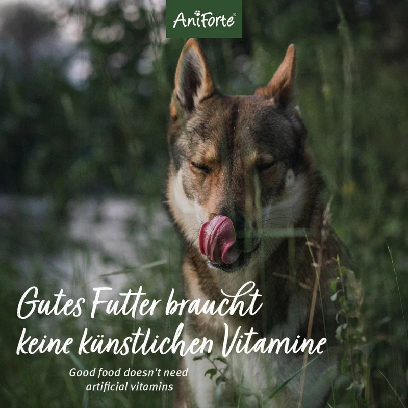 AniForte Pure Nature Rind Mini – Getreidefreies Premium-Trockenfutter für kleine Hunde mit saftigem Rind, Gemüse & Kräutern