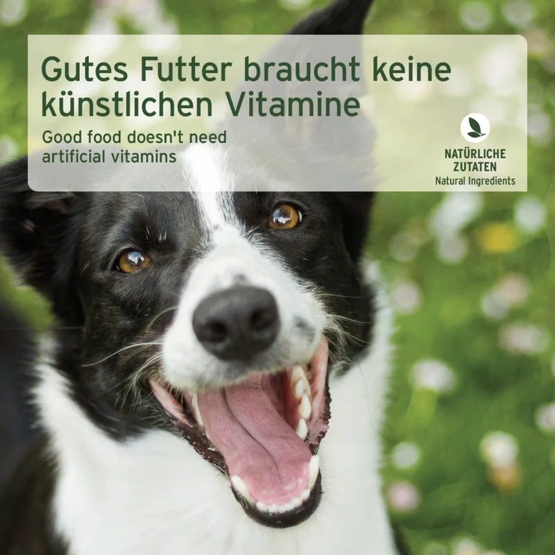 AniForte Pure Nature Pferd Pur – Premium Hunde Nassfutter, getreidefrei & naturbelassen
