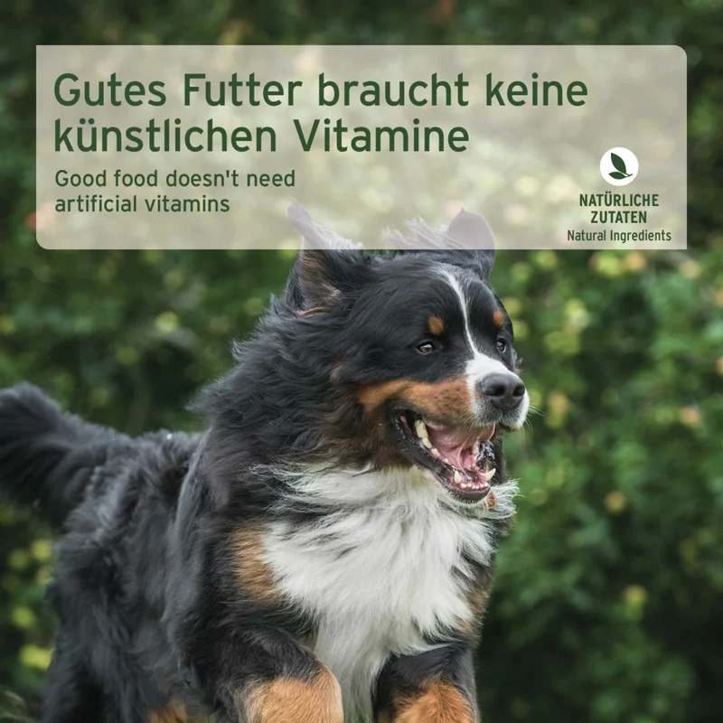AniForte Pure Nature Farms Lamb Nassfutter für sensible Hunde – 100% Lamm, glutenfrei, mit herzhaftem Gemüse
