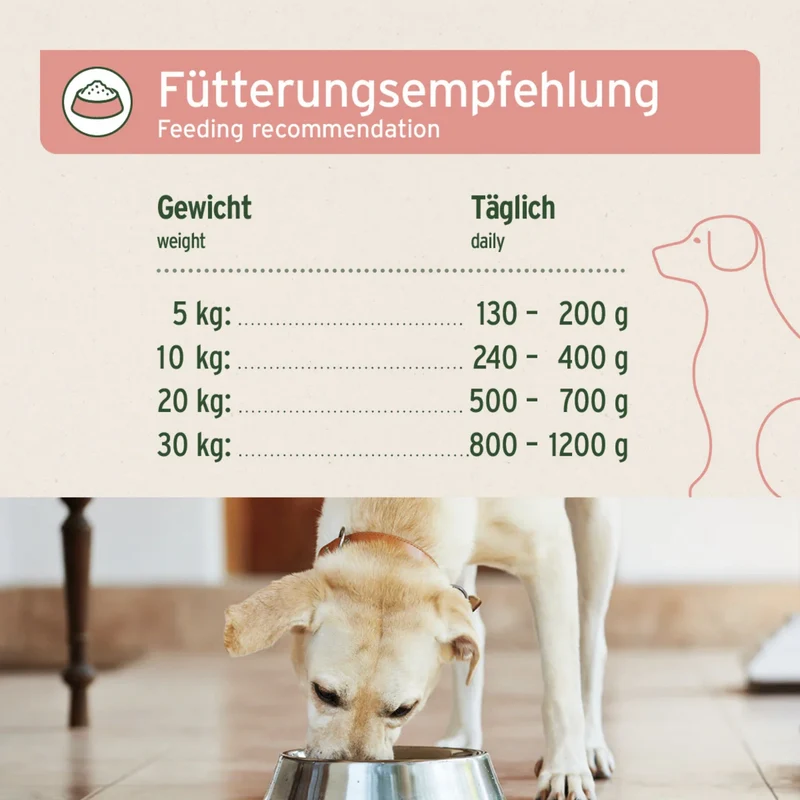 AniForte Pure Nature Rind Pur Nassfutter – Monoprotein für sensible Hunde, 100% Rind ohne Zusätze