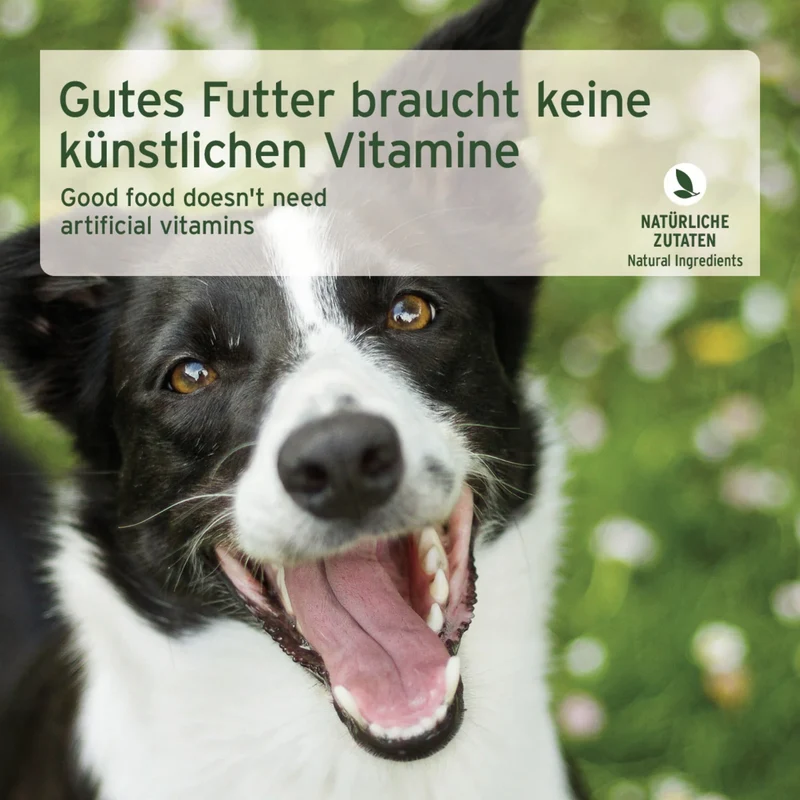 AniForte Pure Nature Rind Pur Nassfutter – Monoprotein für sensible Hunde, 100% Rind ohne Zusätze