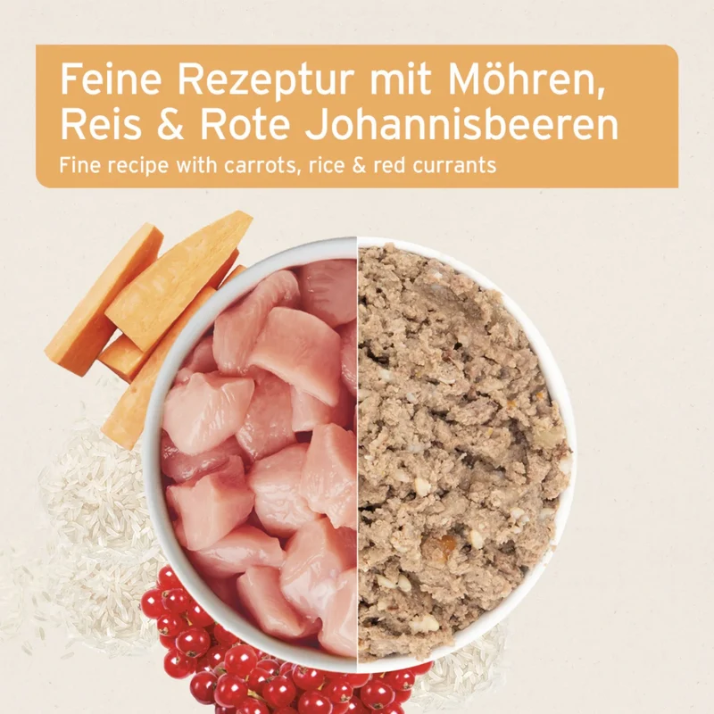 AniForte Pure Nature Land Chicken - Premium-Nassfutter für sensible Hunde mit Single-Protein, glutenfrei & leicht verdaulich