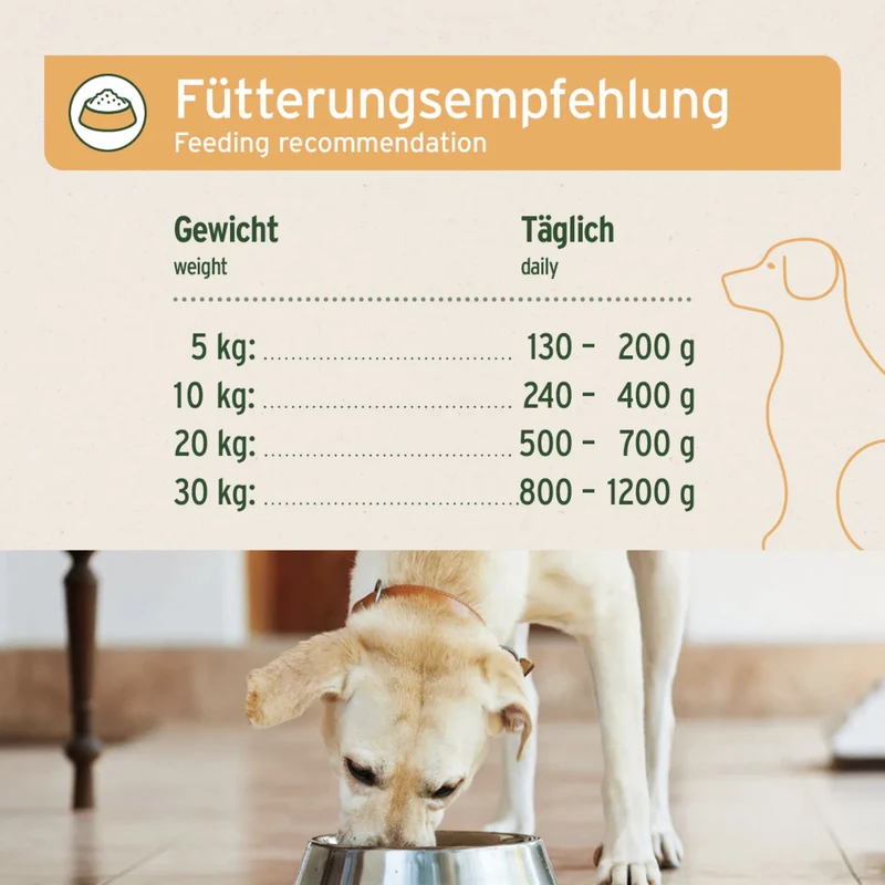AniForte Pure Nature Land Chicken - Premium-Nassfutter für sensible Hunde mit Single-Protein, glutenfrei & leicht verdaulich