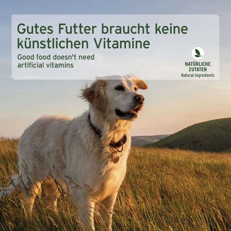 AniForte Pure Nature Country Beef Premium Nassfutter – 100% Rind, getreidefrei & reich an Omega-3 für gesunde Hunde