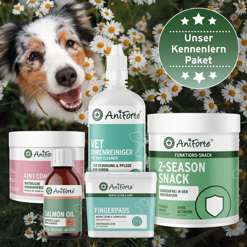 Kennenlernpaket für Hunde
