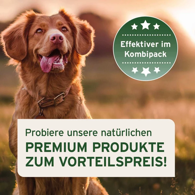 Kennenlernpaket für Hunde