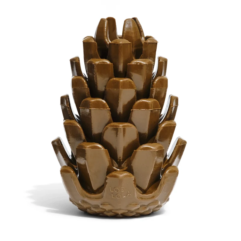 Loblolly Pinecone Tannenzapfen