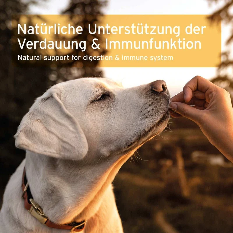 Prebiotic TopinPur VET