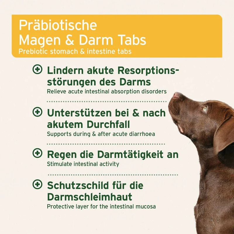 AniForte® plus Magen & Darm