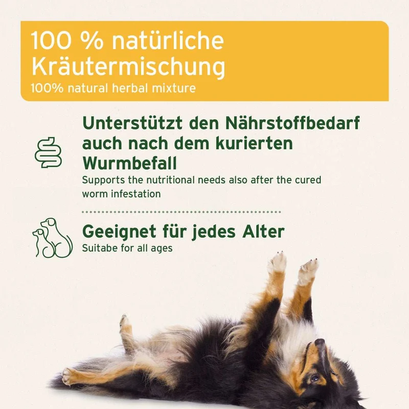 WermiX für Hunde