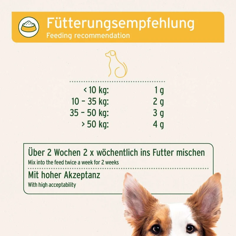 WermiX für Hunde