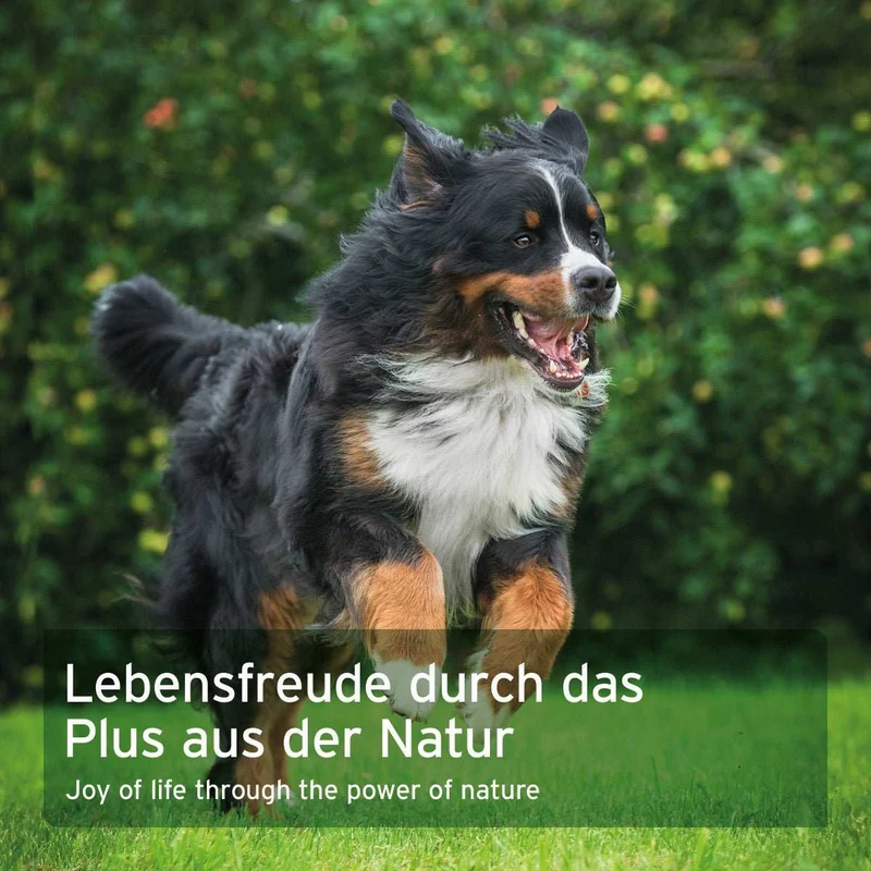 WermiX für Hunde