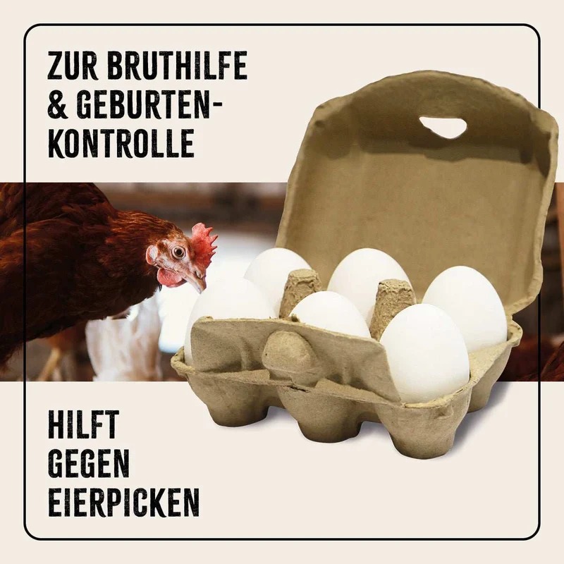 FarmLife Ton-Eier 6er Pack