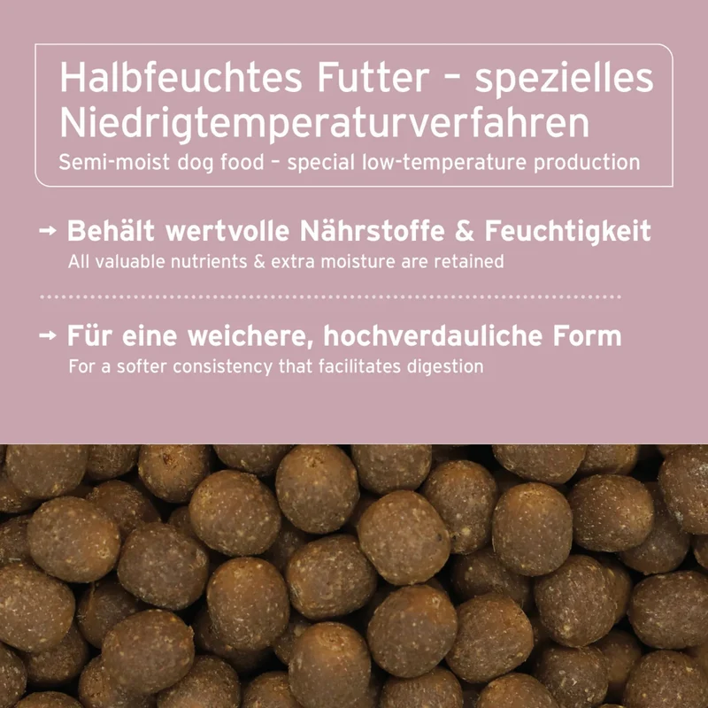 AniForte Pure Nature Freeland Duck Hunde Trockenfutter – Halbfeucht, Leicht Verdaulich & Reich an Omega-3 für sensible & ältere Hunde