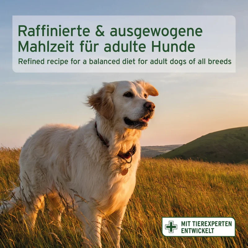 AniForte Pure Nature Freeland Duck Hunde Trockenfutter – Halbfeucht, Leicht Verdaulich & Reich an Omega-3 für sensible & ältere Hunde