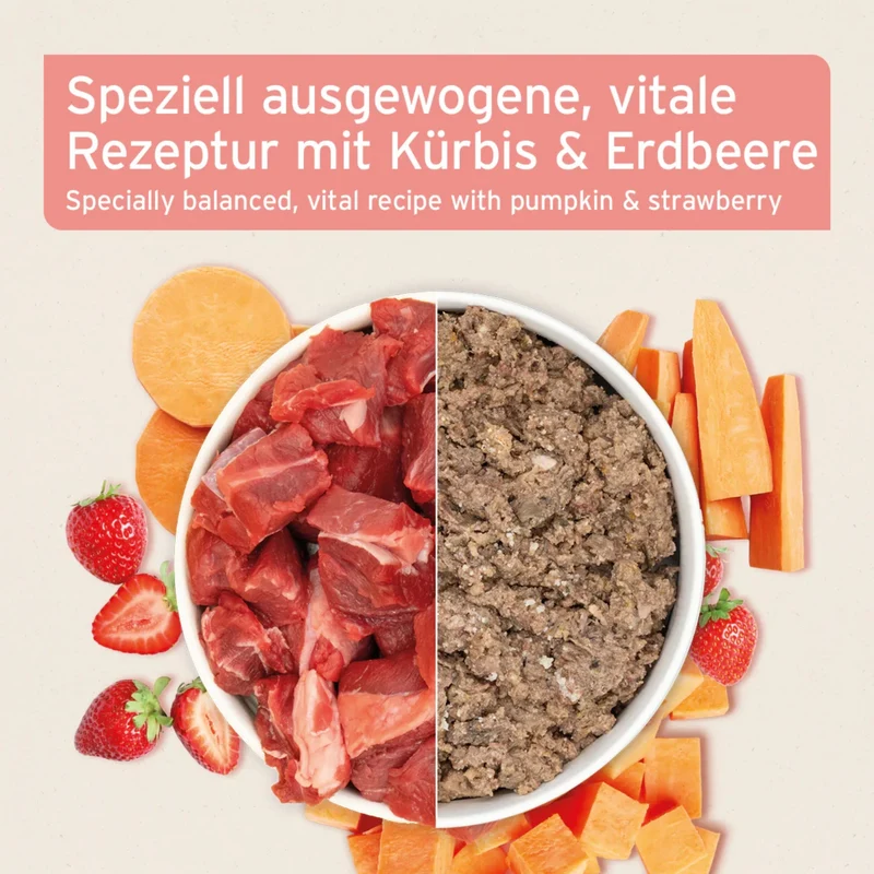 AniForte Pure Nature Junior Menu Beef – Premium Welpen-Nassfutter für gesundes Wachstum, 100% natürlich & getreidefrei