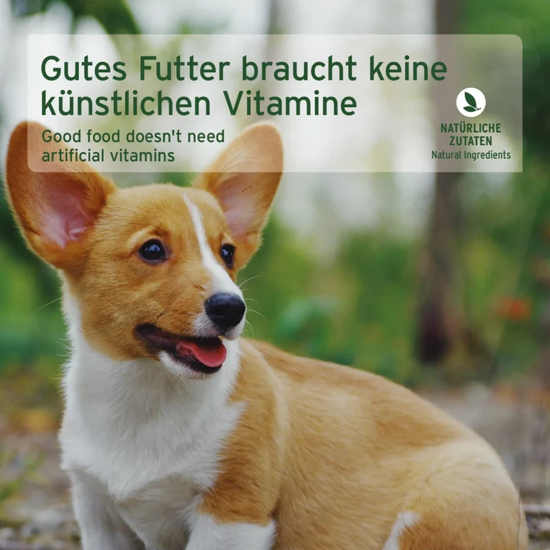 AniForte Pure Nature Junior Menu Beef – Premium Welpen-Nassfutter für gesundes Wachstum, 100% natürlich & getreidefrei
