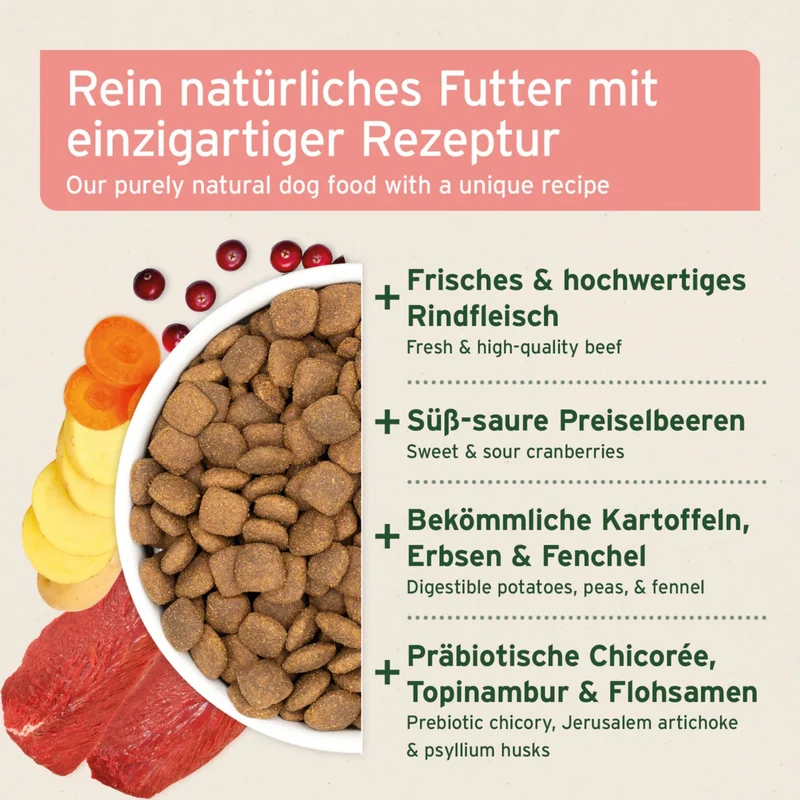 AniForte Pure Nature Country Beef Trockenfutter für Hunde – Getreidefrei, Reich an Omega-3, Ideal für Allergiker