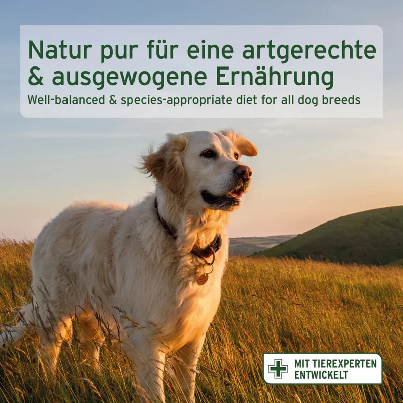 AniForte Pure Nature Country Beef Trockenfutter für Hunde – Getreidefrei, Reich an Omega-3, Ideal für Allergiker