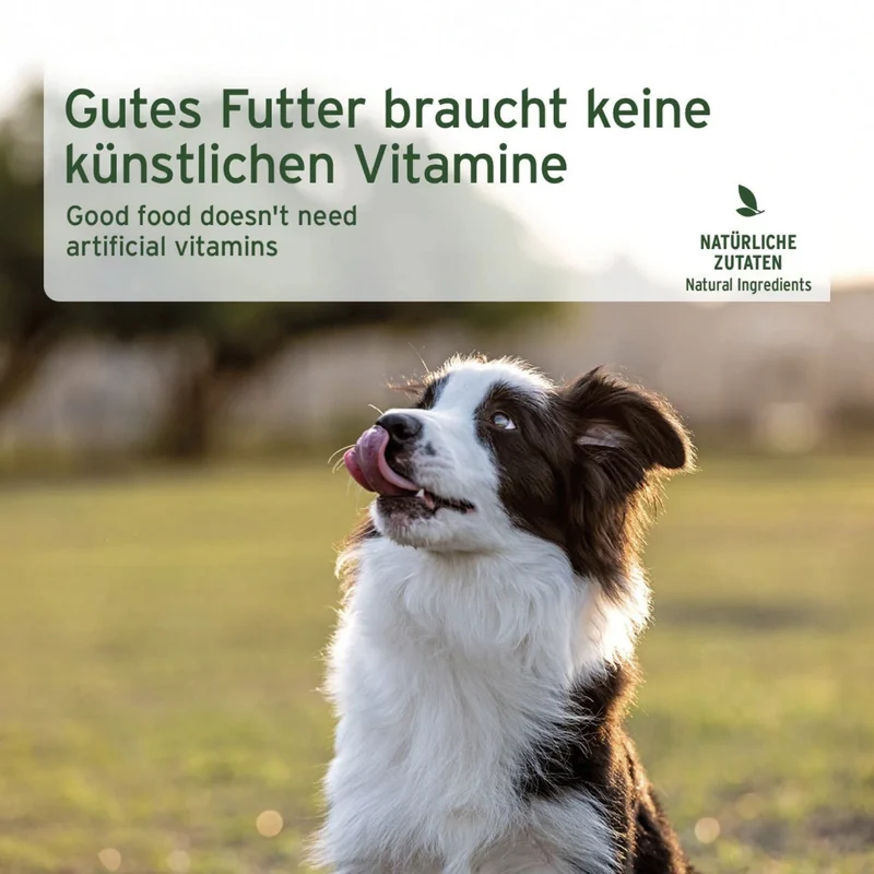 AniForte Pure Nature Ziege Pur – Super-Premium Hunde Nassfutter mit 100% Ziegenfleisch, getreidefrei & glutenfrei für empfindliche Hunde, Single-Protein Monoprotein, Made in Germany