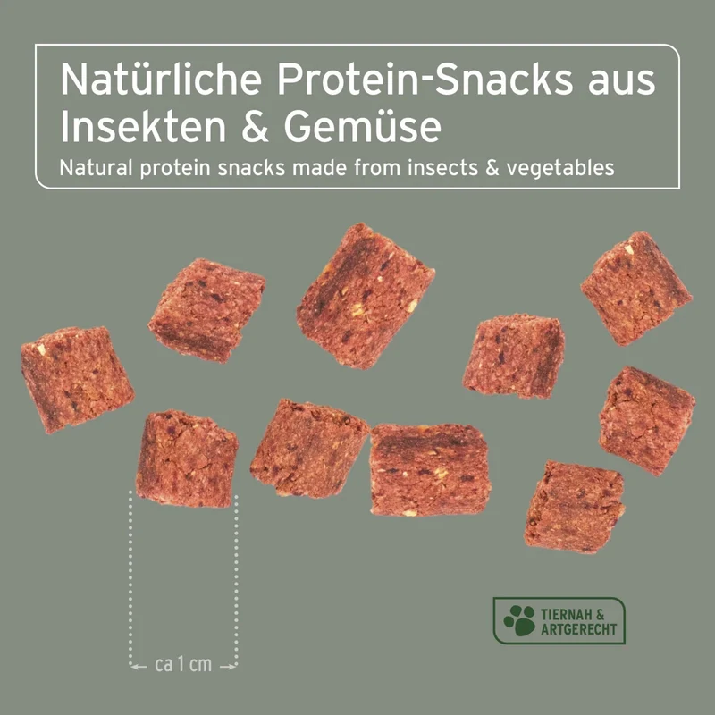 AniForte Insekten Hundesnacks – Natürliche Protein-Leckerlis für Allergiker-Hunde, getreidefrei & hypoallergen mit Mehlwürmern & Hermetia-Larven