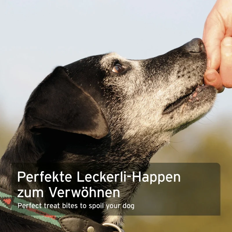 AniForte Insekten Hundesnacks – Natürliche Protein-Leckerlis für Allergiker-Hunde, getreidefrei & hypoallergen mit Mehlwürmern & Hermetia-Larven