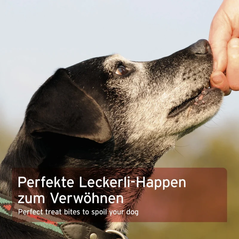 AniForte Rind Hundesnacks – Natürliche Trainingsbelohnung für Hunde, weich & getreidefrei, luftgetrocknet mit 96% Rindfleisch, ideal für Welpen & Senioren