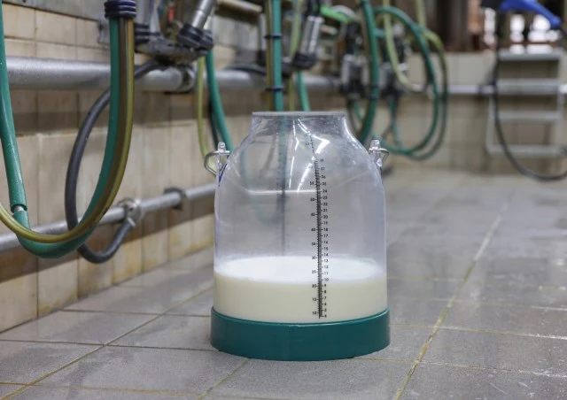Melkeimer 30 Liter mit Skala