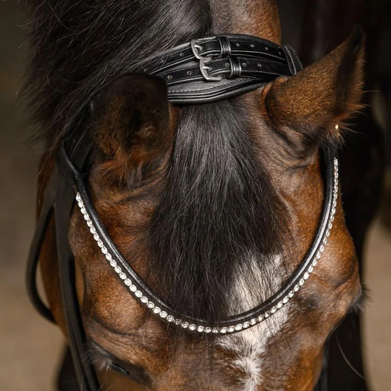 Briglia Waldhausen S-Line Grace con frontalino cristalli eleganti