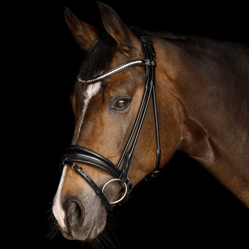 Briglia Waldhausen S-Line Grace con frontalino cristalli eleganti