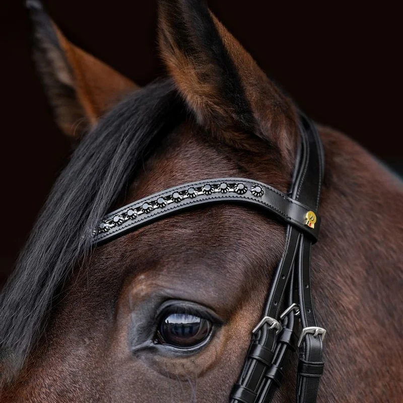 Briglia vernice Waldhausen S-Line Blackshine con cristalli