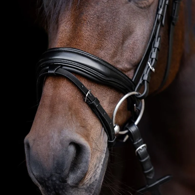 Briglia vernice Waldhausen S-Line Blackshine con cristalli