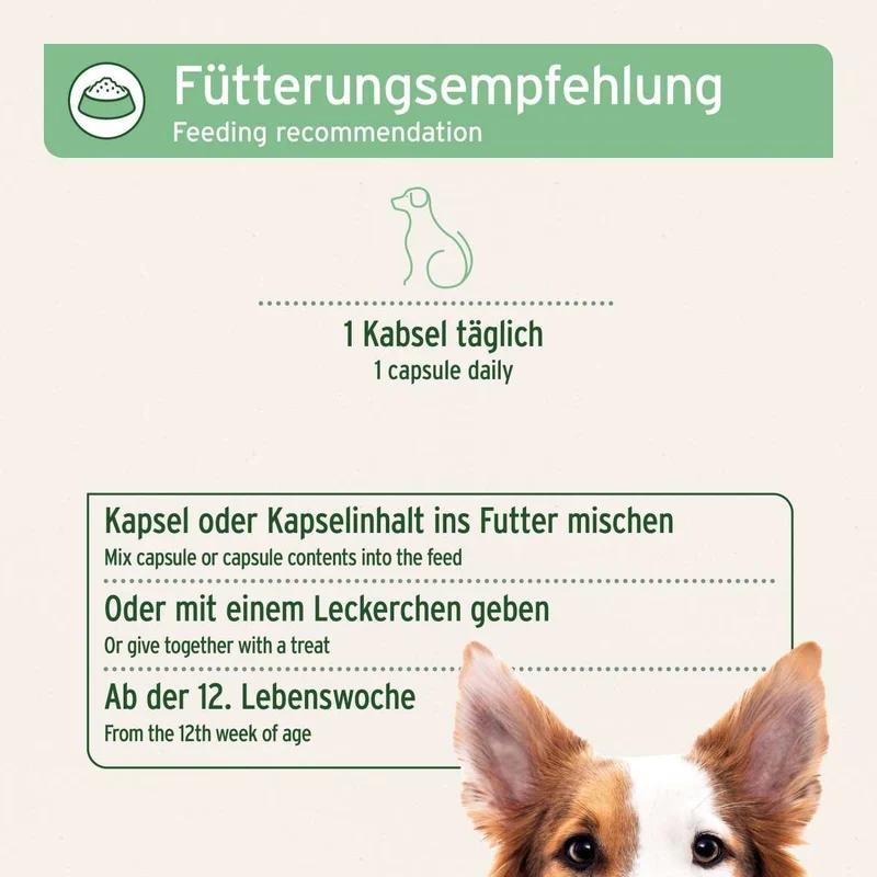 ZeckenSchild Kapseln