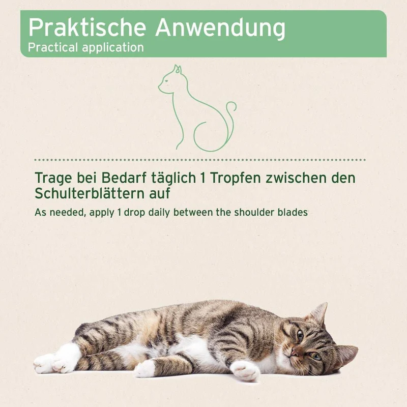 Ectoprotex Spot-on für Katzen