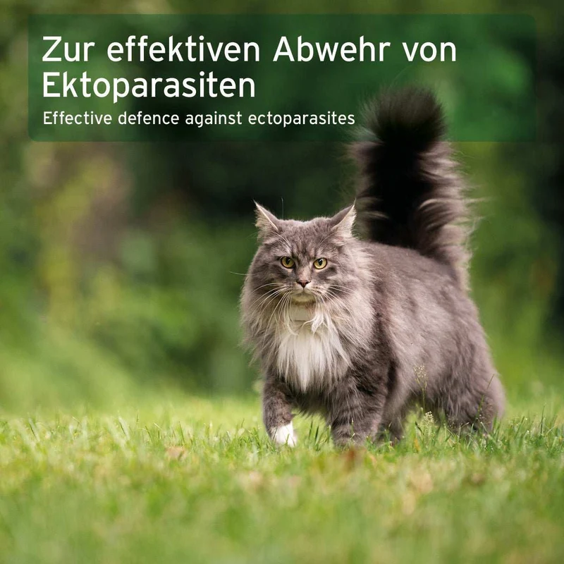 Ectoprotex Spot-on für Katzen