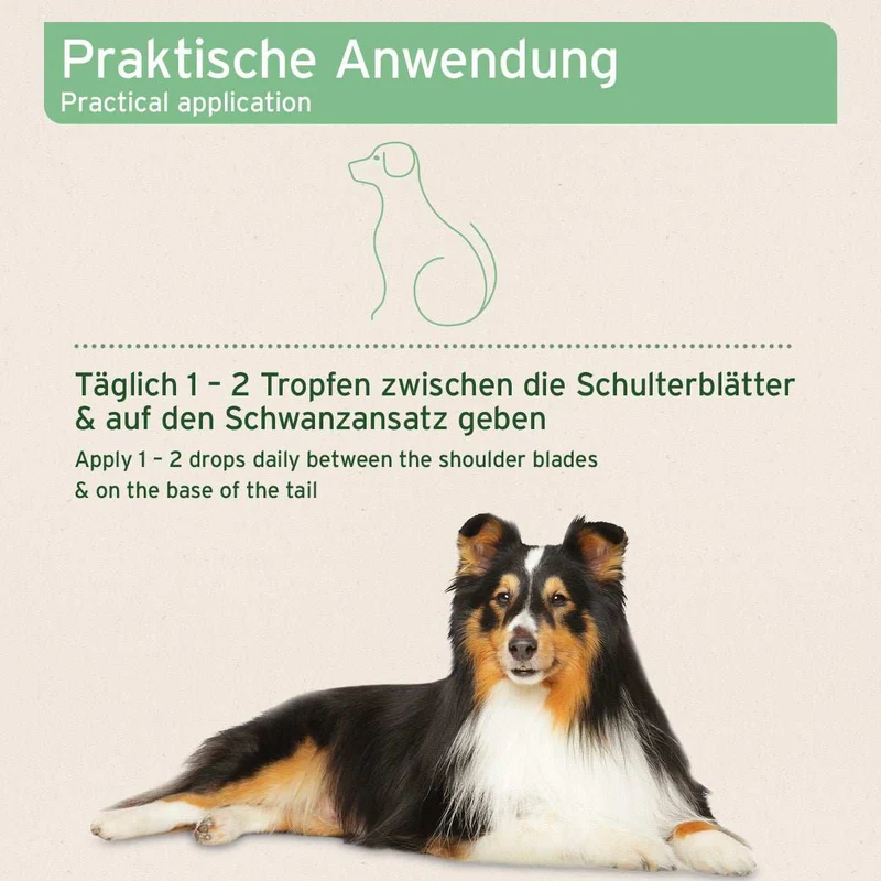 Ectoprotex Spot-on für Hunde