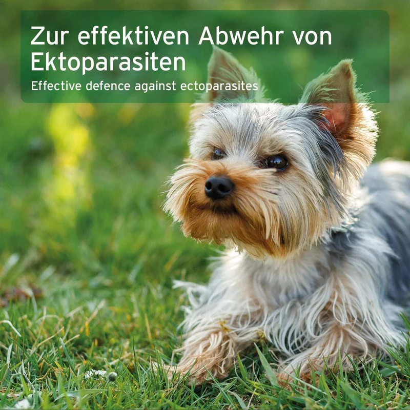 Ectoprotex Spot-on für Hunde